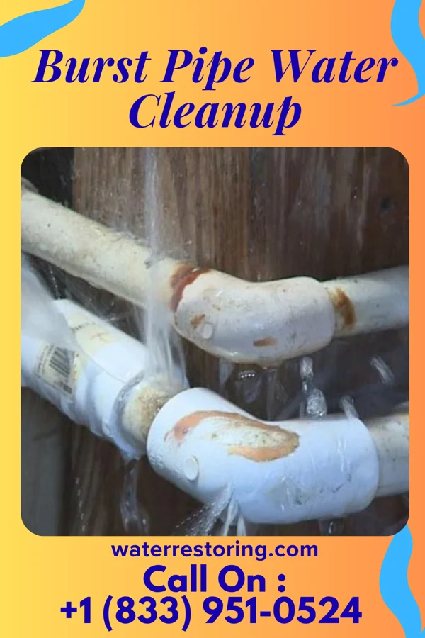 Burst Pipe Water Cleanup in Columbus, TX
