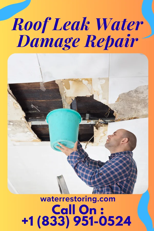 Roof Leak Water Damage Repair in Columbus, TX
