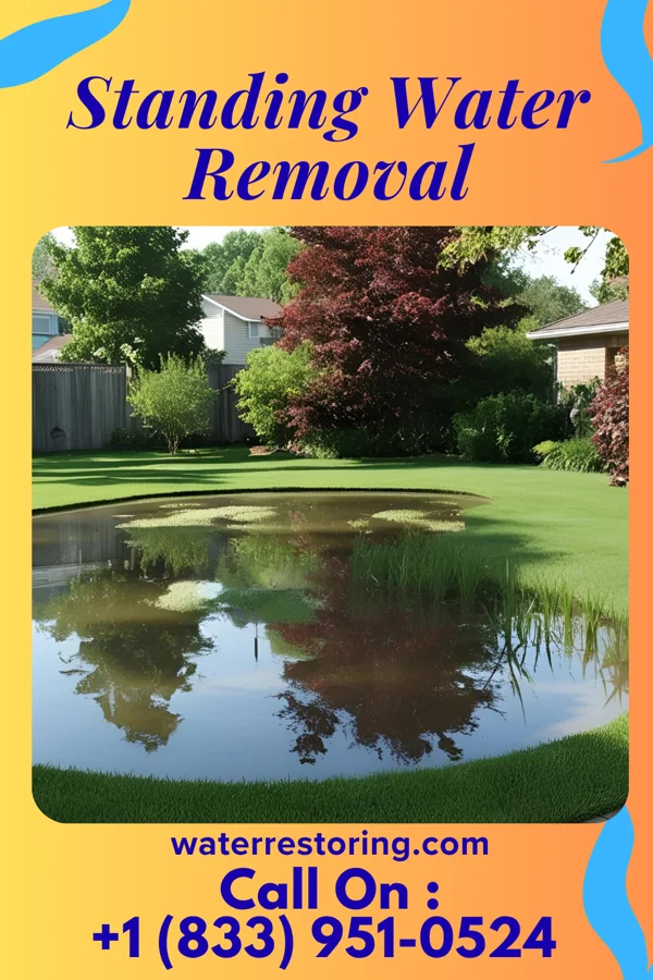 Standing Water Removal in Columbus, TX